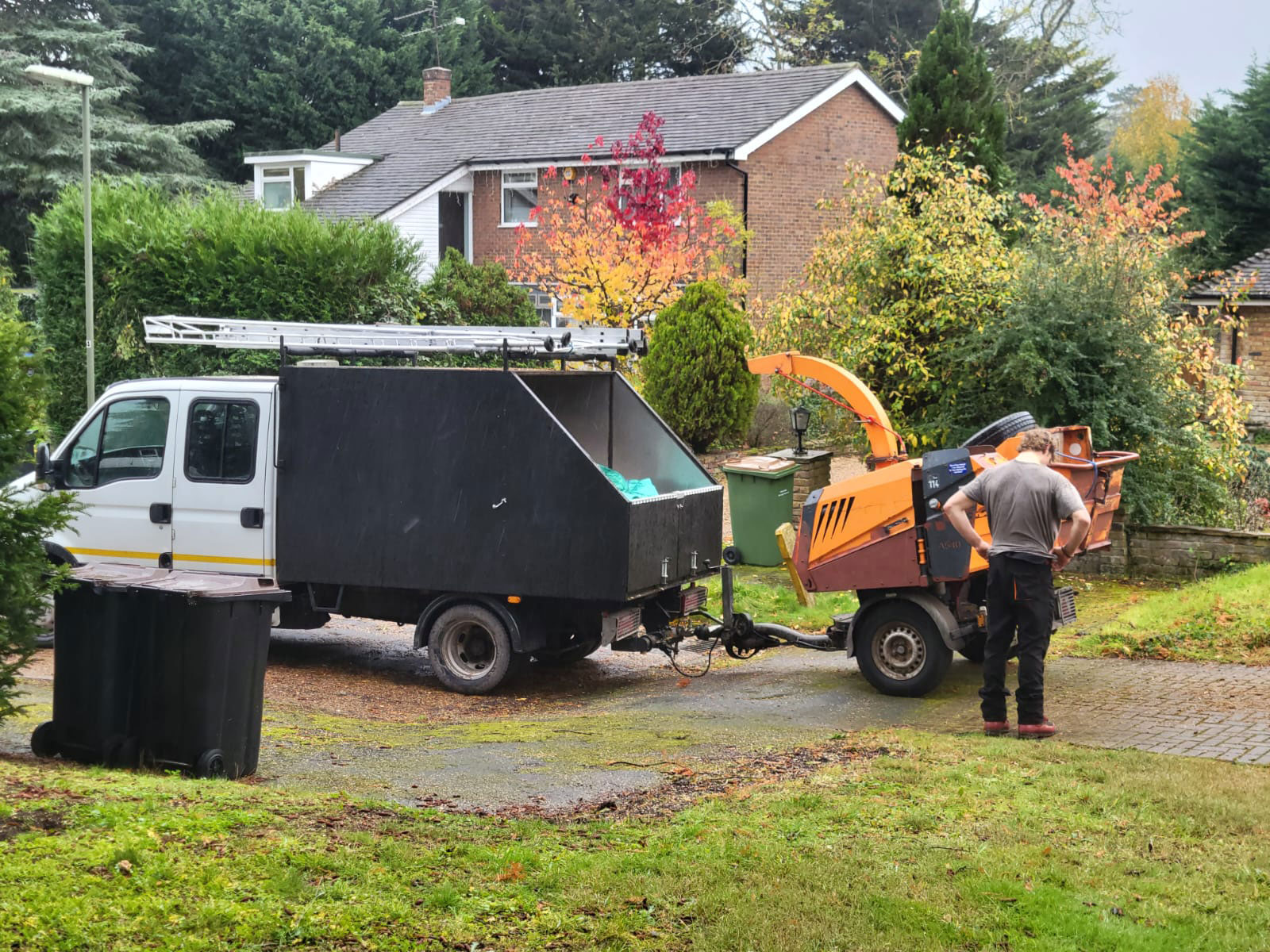 After section-felling a large conifer in Guildford for safe, controlled removal.