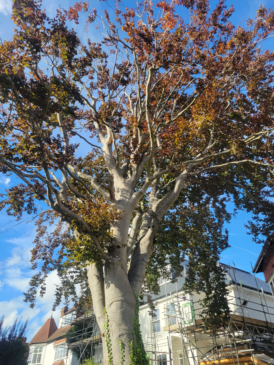 mobile_photo